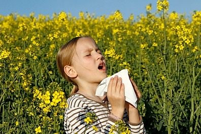 alerg chniy kon yunktiv t u d tey simptomi vidi l kuvannya narodn zasobi krapl dlya ochey ta nsh rekomendac foto 3 - Алергічний кон’юнктивіт у дітей: симптоми, види, лікування (народні засоби, краплі для очей) та інші рекомендації + фото