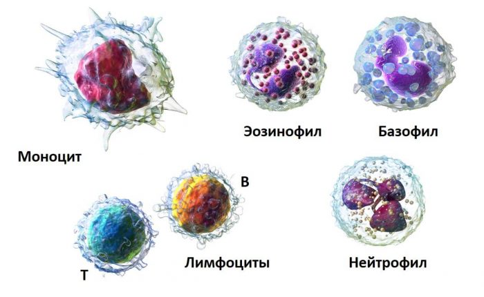 alerg ya u nemovlyati yak proyavlya t sya yak viglyada nemovlya p d chas hvorobi n zh l kuvati prof laktika 2 - Алергія у немовляти: як проявляється, як виглядає немовля під час хвороби, ніж лікувати, профілактика