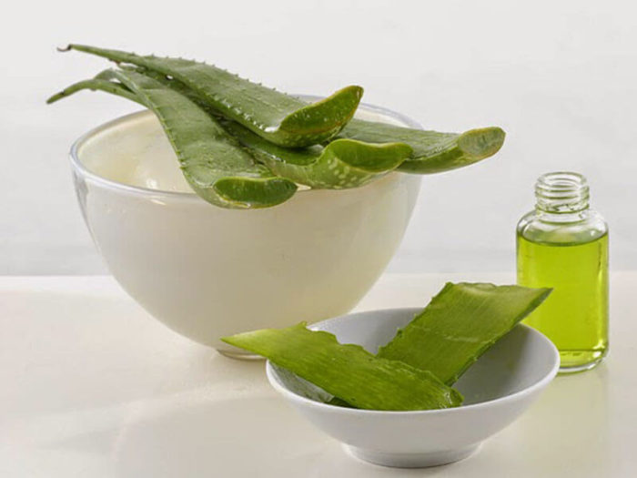aloe dlya shk ri oblichchya golovi ruk l kuval n vlastivost soku roslini zastosuvannya dlya oblast navkolo ochey protipokazannya 2 - Алое для шкіри обличчя, голови, рук: лікувальні властивості соку рослини, застосування для області навколо очей, протипоказання
