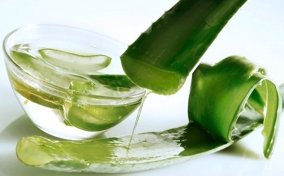 aloe v d zmorshok na oblichch u tomu chisl navkolo ochey v domashn h umovah recepti masok ta nshih zasob v z sokom ekstraktom roslini ta v dguki 3 - Алое від зморшок на обличчі (у тому числі навколо очей) в домашніх умовах – рецепти масок та інших засобів з соком, екстрактом рослини та відгуки
