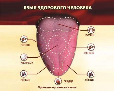b liy nal t na yazic zapah z rota prichini mozhliv zahvoryuvannya 2 - Білий наліт на язиці і запах з рота: причини, можливі захворювання