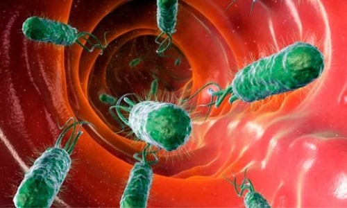 b septol 240 nstrukc ya z zastosuvannya c na v dguki analogi 3 - БІСЕПТОЛ 240 – інструкція із застосування, ціна, відгуки і аналоги