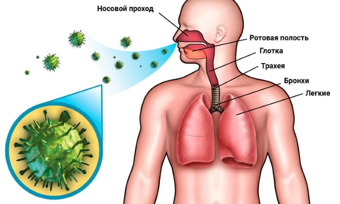 b septol 240 nstrukc ya z zastosuvannya c na v dguki analogi 4 - БІСЕПТОЛ 240 – інструкція із застосування, ціна, відгуки і аналоги