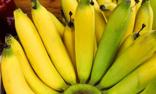 banani pri pankreatit chi mozhna sti pri hron chnomu zagostrenn gostromu zapechen sushen 1 - Банани при панкреатиті: чи можна їсти при хронічному, загостренні, гострому, запечені, сушені