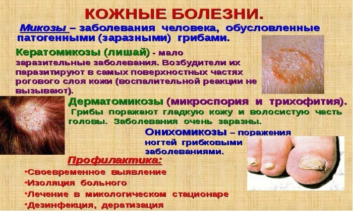 betadin 10 nstrukc ya z zastosuvannya c na v dguki analogi 2 - БЕТАДИН 10 – інструкція із застосування, ціна, відгуки і аналоги