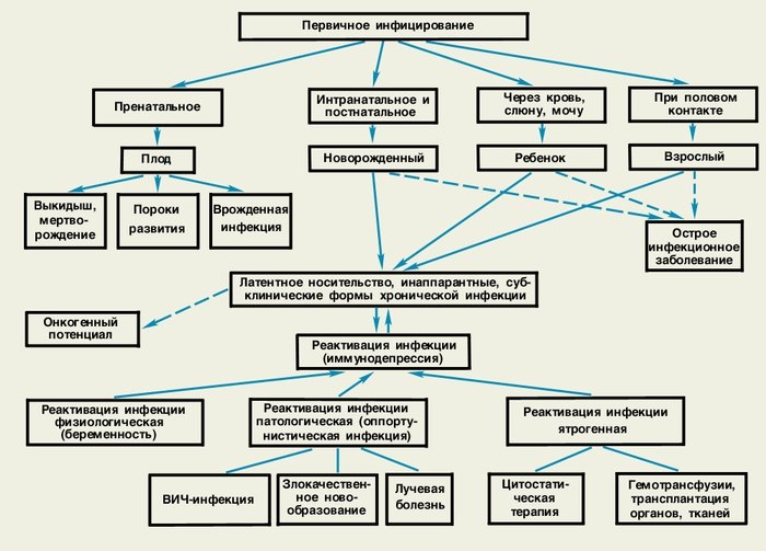 citomegalov rus u d tey prichini viniknennya simptomi d agnostika l kuvannya v deo 2 - Цитомегаловірус у дітей: причини виникнення, симптоми, діагностика і лікування + відео