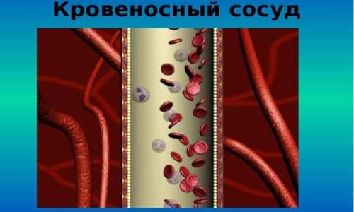 dermozolon nstrukc ya z zastosuvannya c na v dguki analogi 1 - ДЕРМОЗОЛОН – інструкція із застосування, ціна, відгуки і аналоги