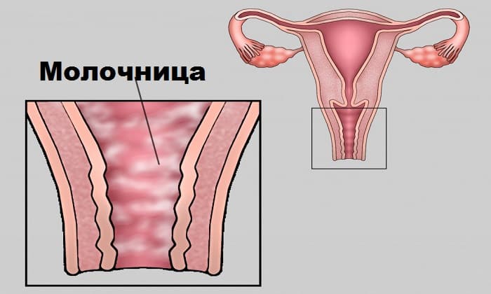 diflazon nstrukc ya z zastosuvannya c na v dguki analogi 3 - ДИФЛАЗОН – інструкція із застосування, ціна, відгуки і аналоги