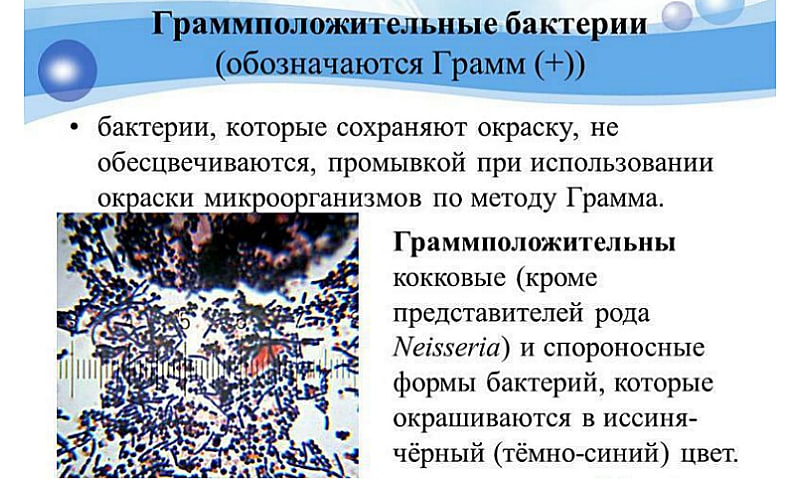 ЕКОНАЗОЛ – інструкція із застосування, ціна, відгуки і аналоги ekonazol nstrukc ya z zastosuvannya c na v dguki analogi 5 - ЕКОНАЗОЛ – інструкція із застосування, ціна, відгуки і аналоги
