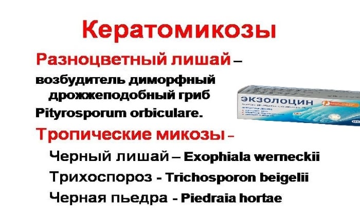 ЭКЗОЛОЦИН від ГРИБКА: відгуки, ціна, склад і чи варто купувати ekzolocin v d gribka v dguki c na sklad chi varto kupuvati 3 - ЭКЗОЛОЦИН від ГРИБКА: відгуки, ціна, склад і чи варто купувати