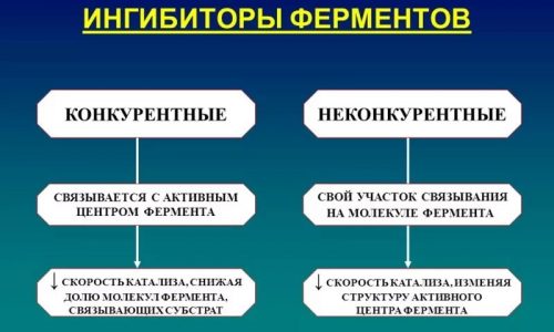 Ферменти для підшлункової залози: препарати, які краще приймати, лікування fermenti dlya p dshlunkovo zalozi preparati yak krasche priymati l kuvannya 6 - Ферменти для підшлункової залози: препарати, які краще приймати, лікування