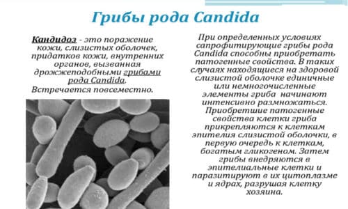 ФЛУКОНАЗОЛ 50 – інструкція із застосування, ціна, відгуки і аналоги flukonazol 50 nstrukc ya z zastosuvannya c na v dguki analogi 2 - ФЛУКОНАЗОЛ 50 – інструкція із застосування, ціна, відгуки і аналоги