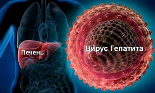 Форми алкогольної хвороби печінки та їх лікування formi alkogol no hvorobi pech nki ta h l kuvannya 6 - Форми алкогольної хвороби печінки та їх лікування