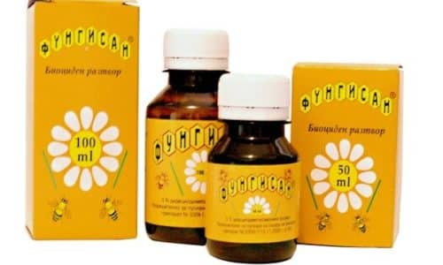 ФУНГИСАН – інструкція із застосування, ціна, відгуки і аналоги fungisan nstrukc ya z zastosuvannya c na v dguki analogi 1 - ФУНГИСАН – інструкція із застосування, ціна, відгуки і аналоги