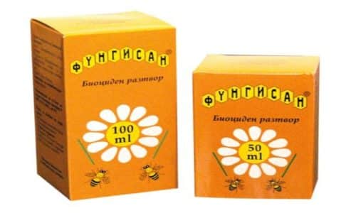 ФУНГИСАН – інструкція із застосування, ціна, відгуки і аналоги fungisan nstrukc ya z zastosuvannya c na v dguki analogi 14 - ФУНГИСАН – інструкція із застосування, ціна, відгуки і аналоги