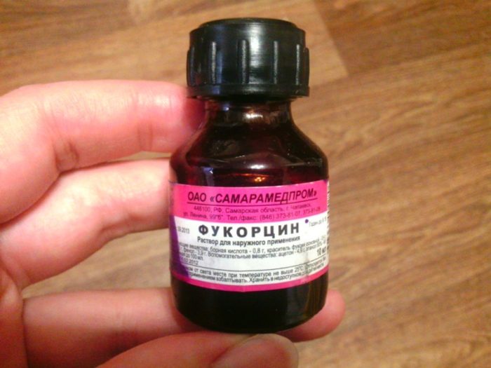 gribok n gt v na rukah nogah scho ce simptomi d agnostika yak l kuvati oglyad metod v zasob v terap prof laktika 5 - Грибок нігтів на руках і ногах: що це, симптоми і діагностика, як лікувати, огляд методів і засобів терапії, профілактика