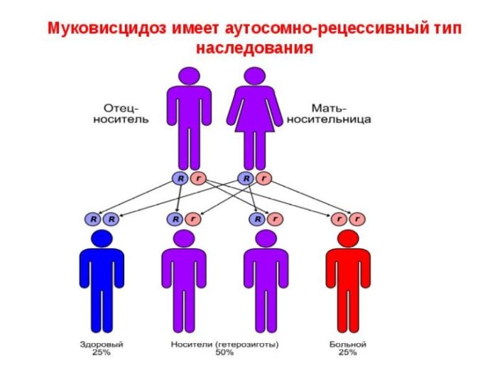 ht oz shk ri scho ce take foto prichini viniknennya lusochok na shk r l kuvannya u d tey ta doroslih v deo po tem 8 - Іхтіоз шкіри: що це таке, фото, причини виникнення лусочок на шкірі, лікування у дітей та дорослих, відео по темі