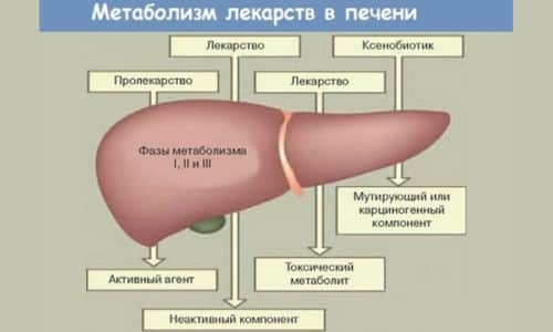 itral nstrukc ya z zastosuvannya c na v dguki analogi 1 - ИТРАЛ – інструкція із застосування, ціна, відгуки і аналоги