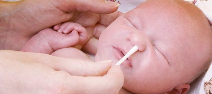 kalanhoe dlya d tey u tomu chisl grudnih l kuvannya nezhityu kashlyu recepti l k v z sokom roslini ta nsh aspekti 5 - Каланхое для дітей (у тому числі грудних): лікування нежитю, кашлю, рецепти ліків з соком рослини та інші аспекти.