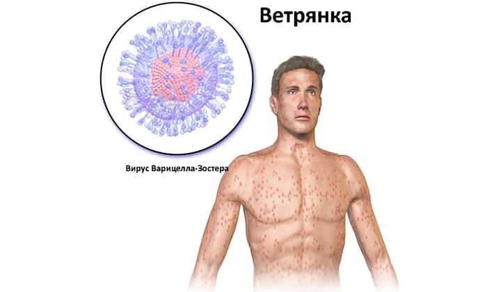 КАНІЗОН – Інструкція із застосування, ціна, відгуки і аналоги kan zon nstrukc ya z zastosuvannya c na v dguki analogi 5 - КАНІЗОН – Інструкція із застосування, ціна, відгуки і аналоги