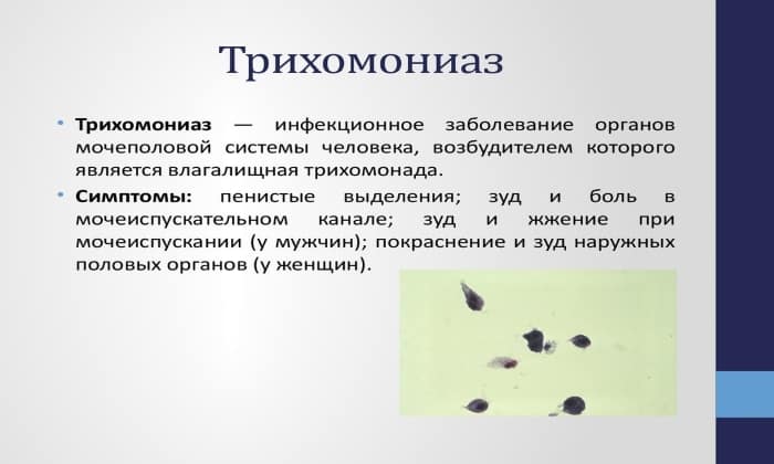 КАНДИД Б – Інструкція із застосування, ціна, відгуки і аналоги kandid b nstrukc ya z zastosuvannya c na v dguki analogi 8 - КАНДИД Б – Інструкція із застосування, ціна, відгуки і аналоги