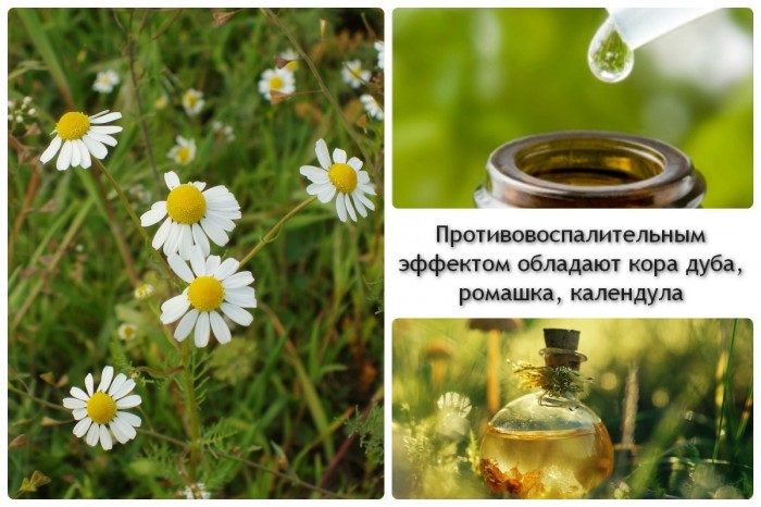 kandidoz prichini simptomi d agnostika l kuvannya uskladnennya v deo pro l kuvannya kandidozu u zh nok 6 - Кандидоз: причини, симптоми, діагностика, лікування, ускладнення, відео про лікування кандидозу у жінок