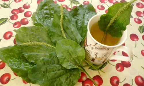 Лікування кісти підшлункової залози (консервативне, хірургічне, народними засобами, дієтою), його ускладнення, прогноз життя та відгуки l kuvannya k sti p dshlunkovo zalozi konservativne h rurg chne narodnimi zasobami d toyu yogo uskladnennya prognoz zhittya ta v dguki 7 - Лікування кісти підшлункової залози (консервативне, хірургічне, народними засобами, дієтою), його ускладнення, прогноз життя та відгуки