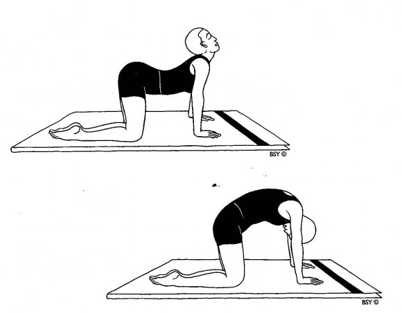 lfk pri skol oz u d tey v tomu chisl p dl tk v kompleks vprav g mnastika zaryadka yoga pri r znih stupenyah zahvoryuvannya 7 - ЛФК при сколіозі у дітей, в тому числі підлітків: комплекс вправ, гімнастика, зарядка, йога при різних ступенях захворювання