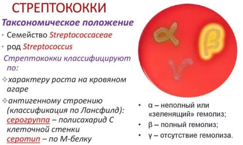 m ram stin 0 01 nstrukc ya z zastosuvannya c na v dguki analogi foto 1 - МІРАМІСТИН 0,01 – інструкція із застосування, ціна, відгуки і аналоги (фото)