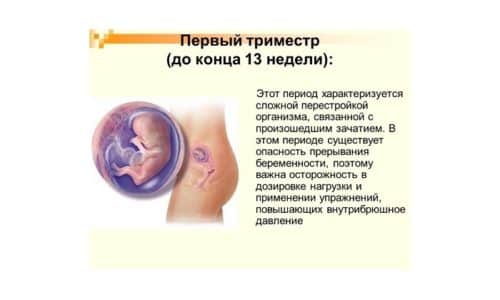 МЕТРОГІЛ 100 – інструкція із застосування, ціна, відгуки і аналоги metrog l 100 nstrukc ya z zastosuvannya c na v dguki analogi 6 - МЕТРОГІЛ 100 – інструкція із застосування, ціна, відгуки і аналоги