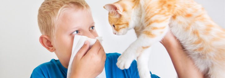 prichini alerg u d tey r znogo v ku na moloko glyuten v n vipadkah 1 - Причини алергії у дітей різного віку на молоко, глютен і в ін випадках