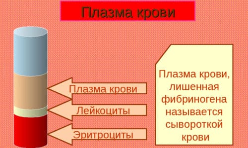 ПРОКАНАЗОЛ – інструкція із застосування, ціна, відгуки і аналоги prokanazol nstrukc ya z zastosuvannya c na v dguki analogi 2 - ПРОКАНАЗОЛ – інструкція із застосування, ціна, відгуки і аналоги