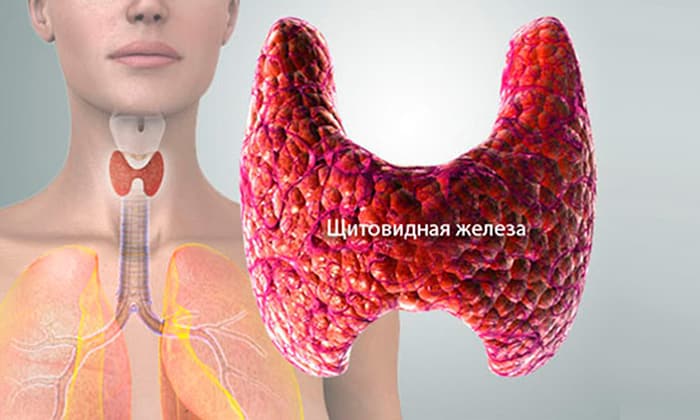 sv chki betadin nstrukc ya z zastosuvannya c na v dguki analogi 5 - СВІЧКИ БЕТАДИН – інструкція із застосування, ціна, відгуки і аналоги