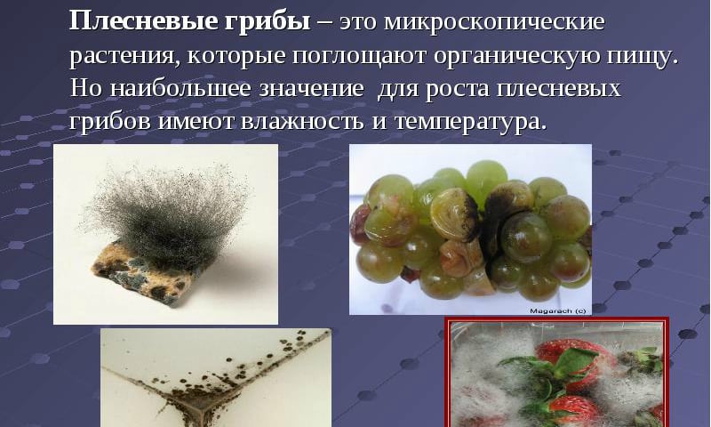 sv chki kandid nstrukc ya z zastosuvannya c na v dguki analogi 2 - СВІЧКИ КАНДИД – інструкція із застосування, ціна, відгуки і аналоги