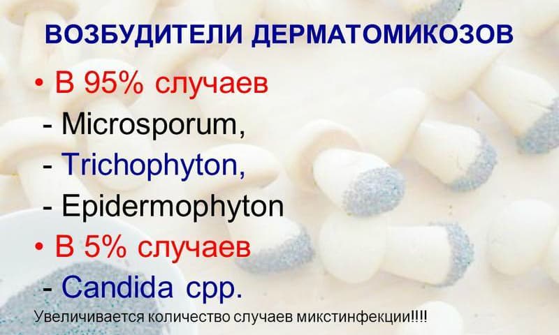 sv chki kandid nstrukc ya z zastosuvannya c na v dguki analogi 4 - СВІЧКИ КАНДИД – інструкція із застосування, ціна, відгуки і аналоги