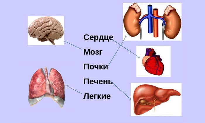 СВІЧКИ МЕТРОНІДАЗОЛ – інструкція із застосування, ціна, відгуки і аналоги sv chki metron dazol nstrukc ya z zastosuvannya c na v dguki analogi 6 - СВІЧКИ МЕТРОНІДАЗОЛ – інструкція із застосування, ціна, відгуки і аналоги