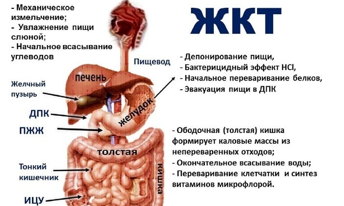 tabletki dermazol nstrukc ya z zastosuvannya c na v dguki analogi 3 - ТАБЛЕТКИ ДЕРМАЗОЛ – інструкція із застосування, ціна, відгуки і аналоги