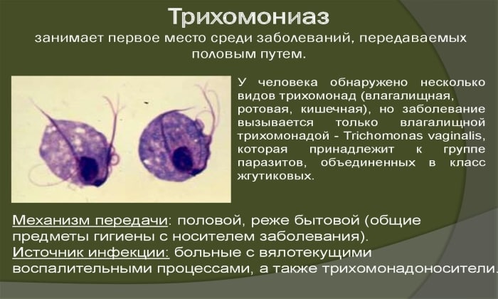 tabletki kandid nstrukc ya z zastosuvannya c na v dguki analogi 2 - ТАБЛЕТКИ КАНДИД – інструкція із застосування, ціна, відгуки і аналоги