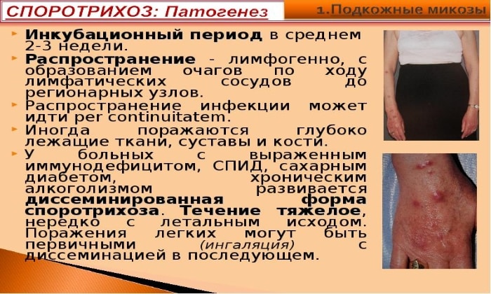 teknazol nstrukc ya z zastosuvannya c na v dguki analogi 4 - ТЕКНАЗОЛ – інструкція із застосування, ціна, відгуки і аналоги