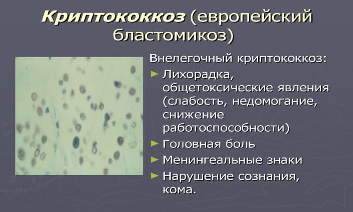 teknazol nstrukc ya z zastosuvannya c na v dguki analogi 7 - ТЕКНАЗОЛ – інструкція із застосування, ціна, відгуки і аналоги