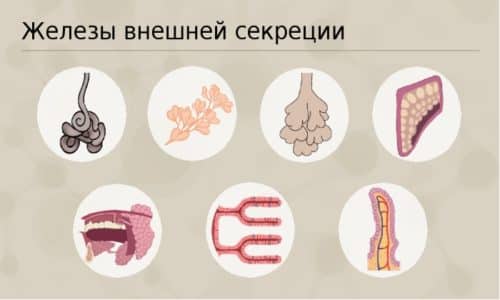 terb naf n kanon nstrukc ya z zastosuvannya c na v dguki analogi 3 - ТЕРБІНАФІН КАНОН – інструкція із застосування, ціна, відгуки і аналоги