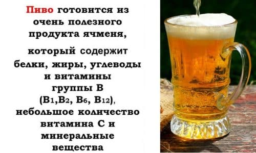 vpliv piva na cholov chiy organ zm 2 - Вплив пива на чоловічий організм