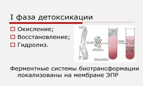 yak pravil no vikoristovuvati karbopekt v d alkogol nogo otru nnya 2 - Як правильно використовувати Карбопект від алкогольного отруєння?