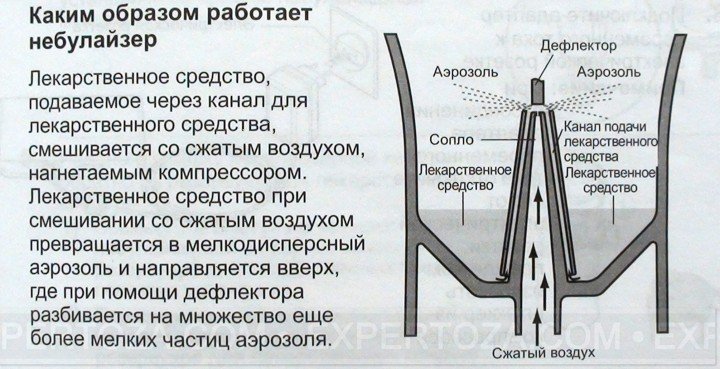 yak vibrati ngalyator nebulayzer dlya ditini yakiy krasche komarovs kiy foto 2 - Як вибрати інгалятор (небулайзер) для дитини – який краще (Комаровський) + фото