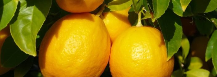 Лимон для волосся: приготування масок та інших засобів, відгуки та інші особливості використання