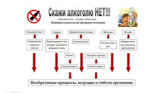 Як алкоголь діє на кровоносні судини?